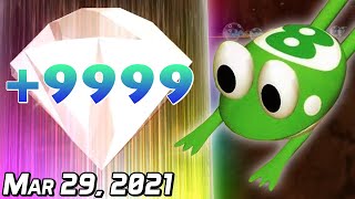 SimpleFlips Ribbit King w Murkus Roanin50 amp DawnFinder Mar 29 2021 [upl. by Nnoved457]