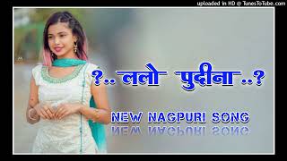 Lelo Pudina New Nagpuri Song Dj Nagpuri Song Dj Rahul Amdi 01 Old Nagpuri Song Full Remix Song [upl. by Seyer]