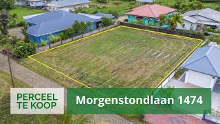 Morgenstondlaan 1474 • 102011 m² Perceel te Morgenstond Paramaribo Suriname [upl. by Holna]