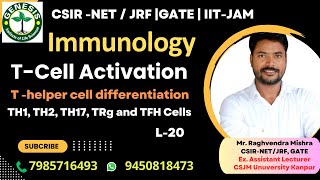 Tcell Activation  Differentiation of Thelper Cells  Immunologygenesisinstitute [upl. by Yetac]