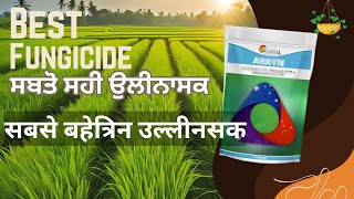 Best fungicide for vegitables  Swal Arryan bestfungicide arryan dashmeshpesticides krishi [upl. by Acinom]