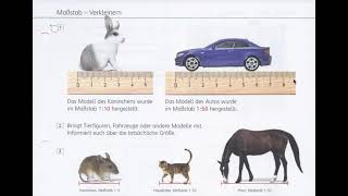 Klasse 4 Maßstab Verkleinern [upl. by Nawtna]