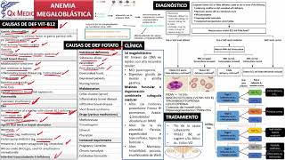 4 ANEMIA POR ENFERM CRÓNICA Y MEGALOBLASTICA [upl. by Nhguaval]