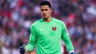 Alphonse Areola • Best Saves  West Ham  HD [upl. by Kesia]