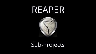 Sub Projects in REAPER [upl. by Sivam]