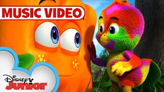 What A Colorful Day 🌈  Music Video  Spookley the Square Pumpkin  disneyjr [upl. by Lamond]