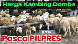 SERBA 1800 ‼️ HARGA KAMBING DOMBA PASCA PILPRES 2024 PASAR WAGE BUMIAYU af72new [upl. by Amann]