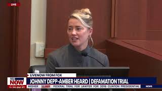 Amber Heard Tried to protect Johnny Depp calling it hoax is preposterous  LiveNOW from FOX [upl. by Burnard]