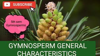 GYMNOSPERM GENERAL CHARACTER BOTANYbscbotany calicutuniversity gymnosperms [upl. by Amie]