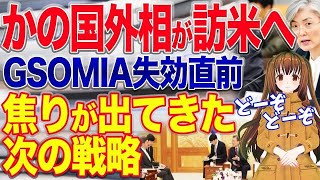 GSOMIA失効直前に訪米計画！破棄見直しは日本譲歩が前提、強気な発言連発中【令和ニュースみんなの声】 [upl. by Tiloine]