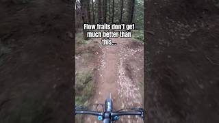 Flow trails don’t get much better than this… mtb shorts bikepark mountainbiking [upl. by Sedrul]