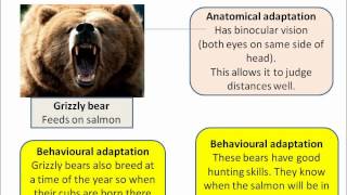 OCR Gateway B2e Adaptations  part 1 [upl. by Ahsaetal]