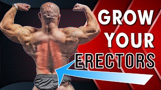 Tips For Spinal Erector Growth [upl. by Cochard252]