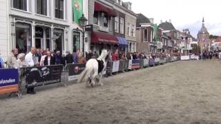 Paardenmarkt Vianen [upl. by Macilroy]