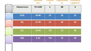 L2 biochemistry  CVS [upl. by Hanikehs]