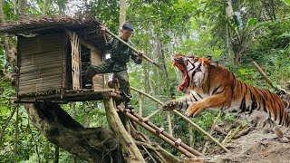 25 days living alone in the wild in a shelter confronting wild animals and dangerous reptiles [upl. by Ullund94]