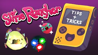 Tips amp Tricks from a Pro Slime Rancher  My Ranch Update [upl. by Ramraj]