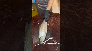 Expertenfertigkeit im Fischschneiden  Expert Cutting Fish Skill fish 特大魚の捌き方 fishing [upl. by Gibbie]