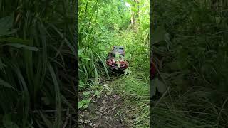 Traxxas trx4 high trail sport rc [upl. by Hoon]