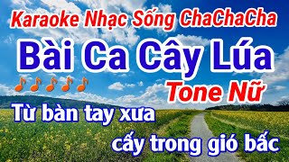 Karaoke Bài Ca Cây Lúa Tone Nữ Nhạc Sống Cha Cha Cha ll Năm Organ [upl. by Letty878]