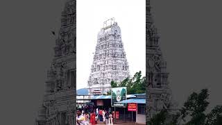 The Beauty of Annavaram Temple sri veera venkata sathyanarayana swami templeannavaramtemple [upl. by Lamonica]