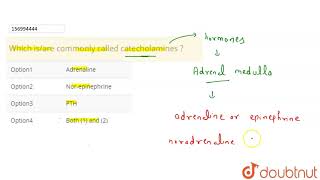 Which isare commonly called catecholamines [upl. by Blancha884]