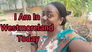 I am In Westmoreland Jamaica vlogging [upl. by Aklam]