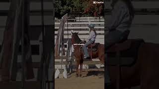 i’m feeling good fypシ゚viral subscribe ilovemyhorse [upl. by Airdnahs]