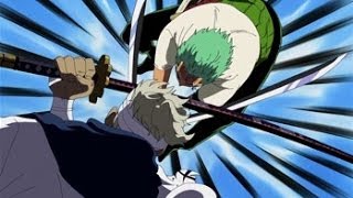 One Piece AMV Zoro vs Ryuma Skillet Hero HD [upl. by Htebazileyram750]