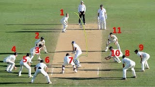 ☑️क्रिकेट की अजीबो गरीब घटनाऐ क्रिकेट फैन हो तो जरूर देखे Top 5 best cricket incidents ever [upl. by Jd]