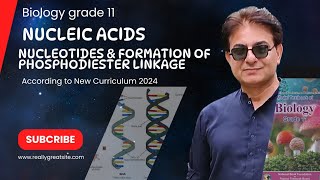 Nucleic Acid  Structure of Nucleotides  Phosphodiester Linkage  Bio Grade 11 2024  Federal board [upl. by Agnizn]