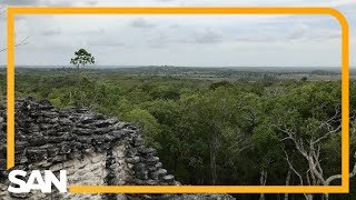 Graduate student discovers ancient Mayan city in Mexican jungle [upl. by Bunder929]