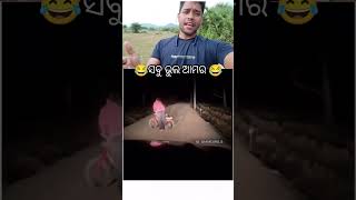 ସବୁ ଭୁଲ୍ ଆମର 😂😂😂😂odiashortvideo funnyshorts girls [upl. by Maryly]