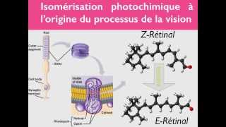 Géométrie des molécules  33 [upl. by Aneet]