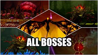 Unbound Worlds Apart All Boss Fights [upl. by Lleynod]