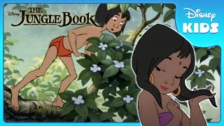 Mowgli Finds the Man Village 🏡  Jungle Book  Disney Kids [upl. by Merideth]