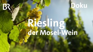 Deutscher Wein an der Mosel  eine RieslingReise  freizeit  Schmidt Max  BR  Doku [upl. by Tselec494]