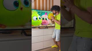 CRAZY CARTOON MOMENTS  ANGRY BIRDS 2 cartoons angrybirds [upl. by Waynant73]