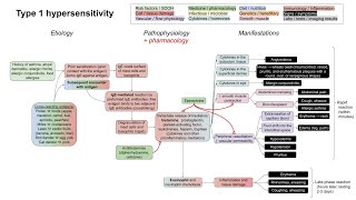 Type I hypersensitivity mechanism of disease [upl. by Croydon]