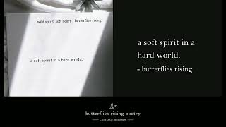 a soft spirit in a hard world © – butterflies rising [upl. by Latrina540]