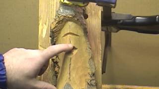 How To Carve A Wood Spirit Face With Hand Tools 3 [upl. by Tillio]