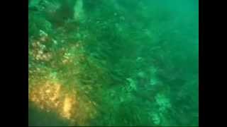 Scilly Isles SS Plympton amp SS Hathor  wwwscubadivingadvisercouk [upl. by Garceau]