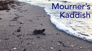 Mourners Kaddish a tribute to Grandpa John [upl. by Konstantine]