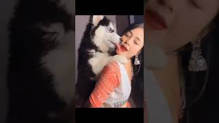 Agla Janam me kutta bnaiyega 😰😰 funnyshorts rockysharma ytshorts comedyshorts [upl. by Masterson438]