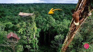 Suku Korowai Pemilik Rumah Pohon Tertinggi di Papua Indonesia [upl. by Victoria]