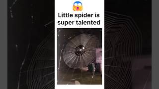 spider😱talented viral trending shorts [upl. by Gunter]