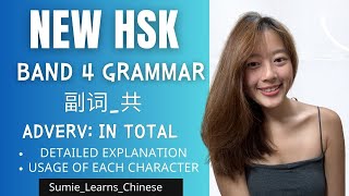 【NEW HSK】IMPORTANT Grammar副词共 Adverb Together  BAND 4  In total  Altogether  Together [upl. by Tirzah473]