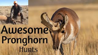 Awesome Pronghorn Hunts [upl. by Joy]