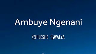 Chileshe Bwalya  Ambuye Ngenani lyrics [upl. by Alfy]