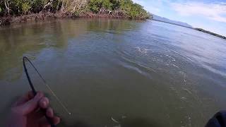 Hinchinbrook fishing 2020 [upl. by Burg]